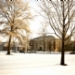 LL_MG_5133.jpg