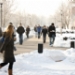 LL_MG_5197.jpg