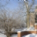 LL_MP_5202.jpg