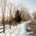 _MG_5215.jpg