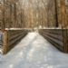 _MG_5221.jpg