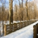 _MG_5223.jpg