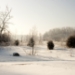 _MG_5224.jpg