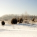 _MG_5225.jpg