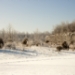 _MG_5226.jpg