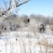 _MG_5238.jpg