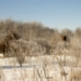 _MG_5240.jpg