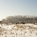 _MG_5242.jpg