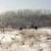 _MG_5243.jpg