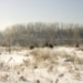 _MG_5244.jpg