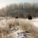 _MG_5247.jpg