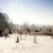_MG_5249.jpg