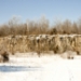 _MG_5252.jpg