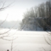 _MG_5254.jpg