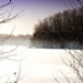 _MG_5255.jpg