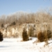_MG_5258.jpg