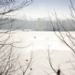 _MG_5260.jpg