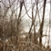 _MG_5264.jpg