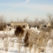 _MG_5266.jpg