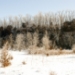 _MG_5268.jpg
