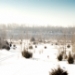 _MG_5284.jpg
