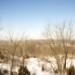 _MG_5287.jpg