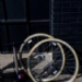 20100417_104333_rf_.JPG