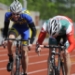20100417_115316_rf4.JPG