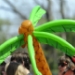 20100417_133333_rf4.JPG