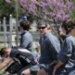 20100417_144200_rf5.JPG