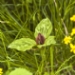 LGL_3534.jpg