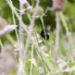 _LGL0254.jpg
