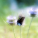 _LGL0257.jpg
