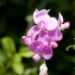 _LGL0294.jpg