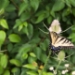 LGL_0220.jpg