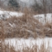 07130204F.JPG