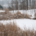 08130336F.JPG