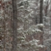 13131830F.JPG
