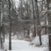 18133255F.JPG