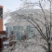 15_150202F.JPG