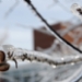 16_150313F.JPG
