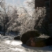 _LGL6460.jpg