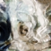 _LGL6618.jpg
