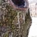_LGL6662.jpg