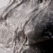 _LGL6767.jpg