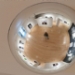 20110314_134403rF.JPG