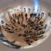 20110405_103838rF.JPG