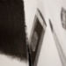 20110405_104715rF.JPG