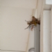 DSC_1075.jpg